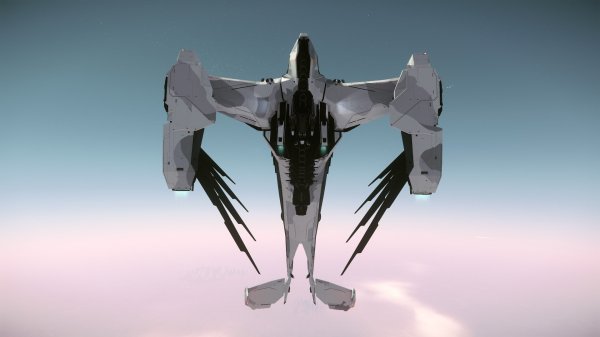 Is it a bird?